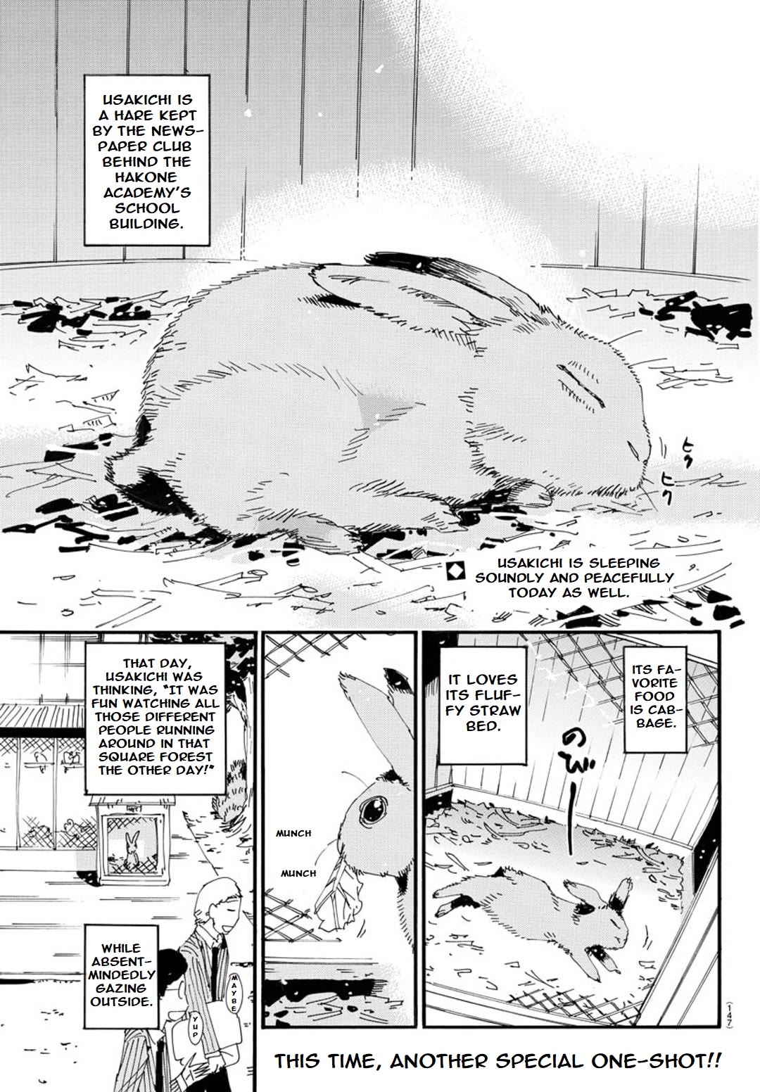 Yowamushi Pedal: Spare Bike Chap 120 - Next Chap 121