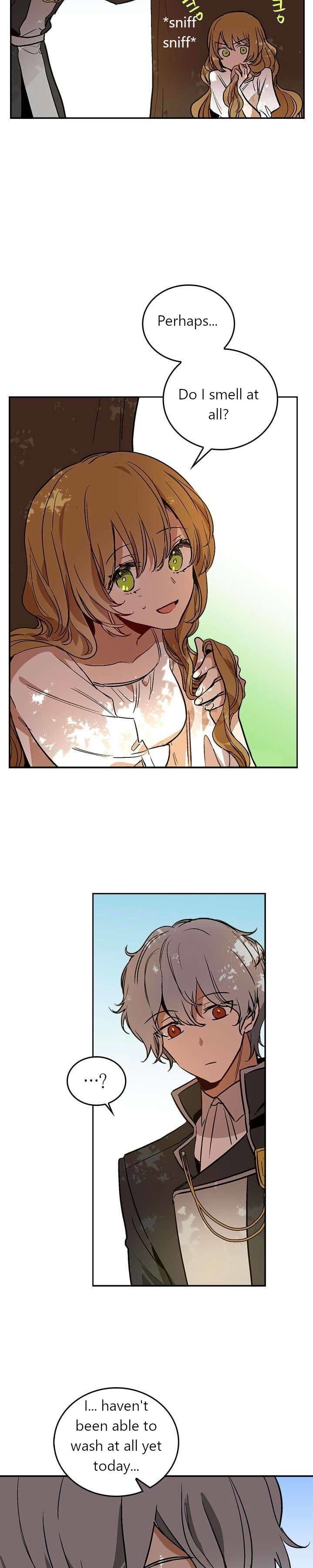 The Duke's Fiancee, Why She Had to Go to the Duke Chap 25 - Next Chap 26