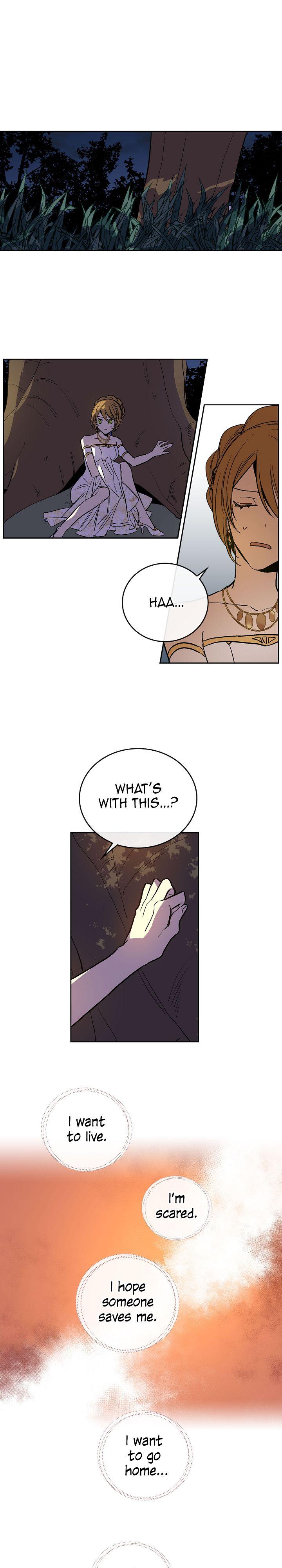 The Duke's Fiancee, Why She Had to Go to the Duke Chap 20 - Next Chap 21