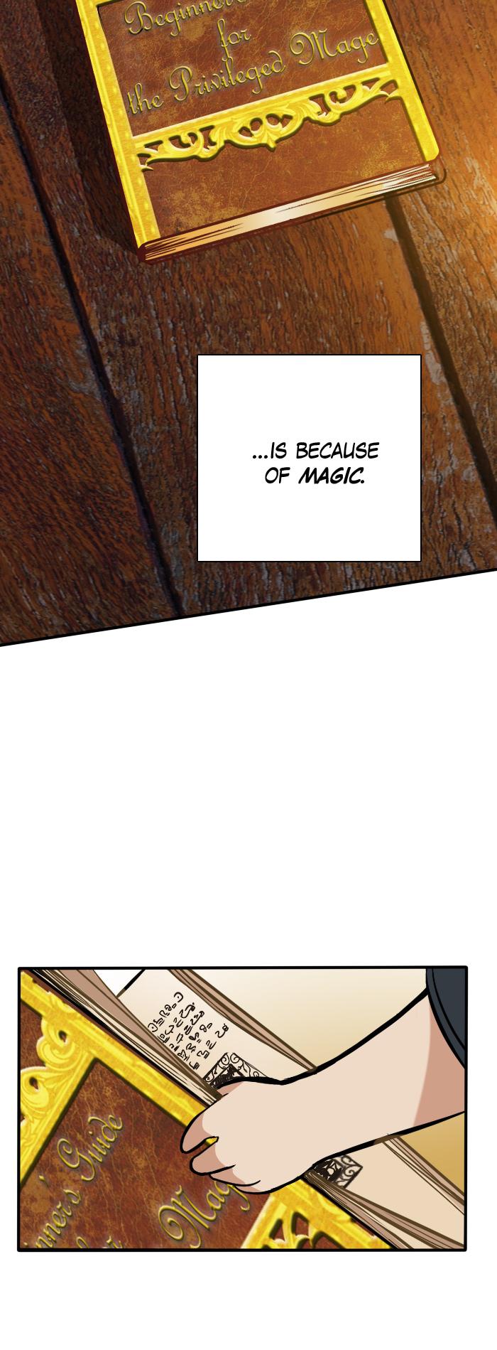 The Beginning After The End Chap 2 - Next Chap 3