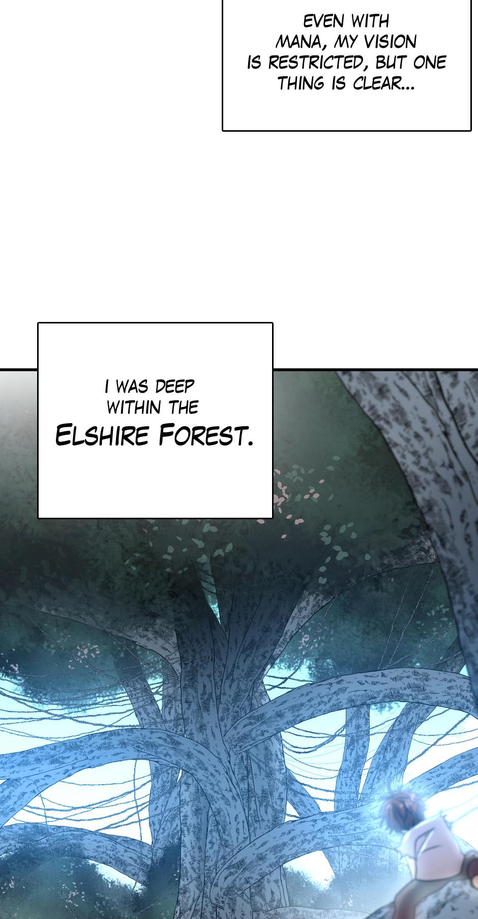 The Beginning After The End Chap 16 - Next Chap 17