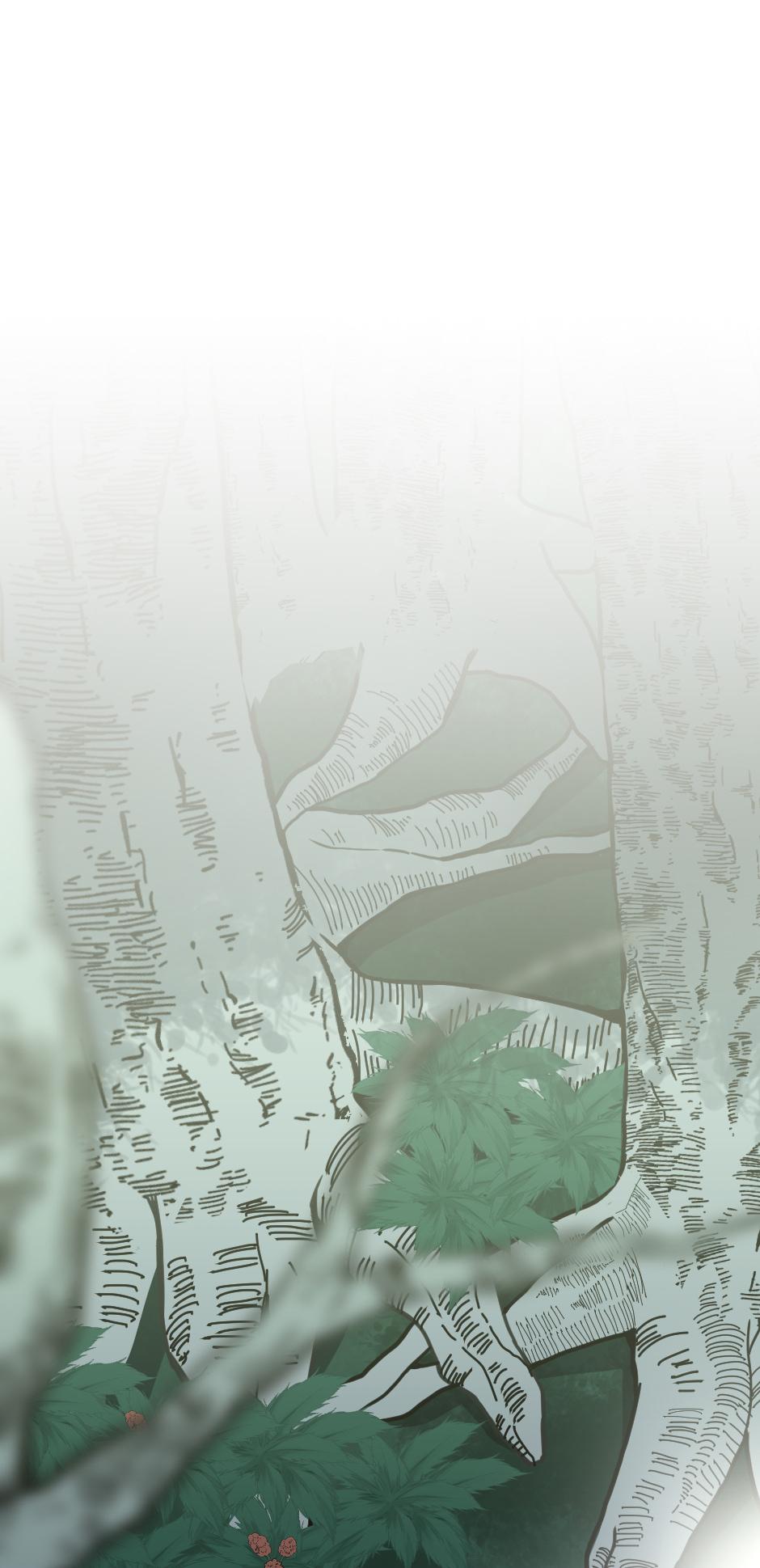 The Beginning After The End Chap 19 - Next Chap 20