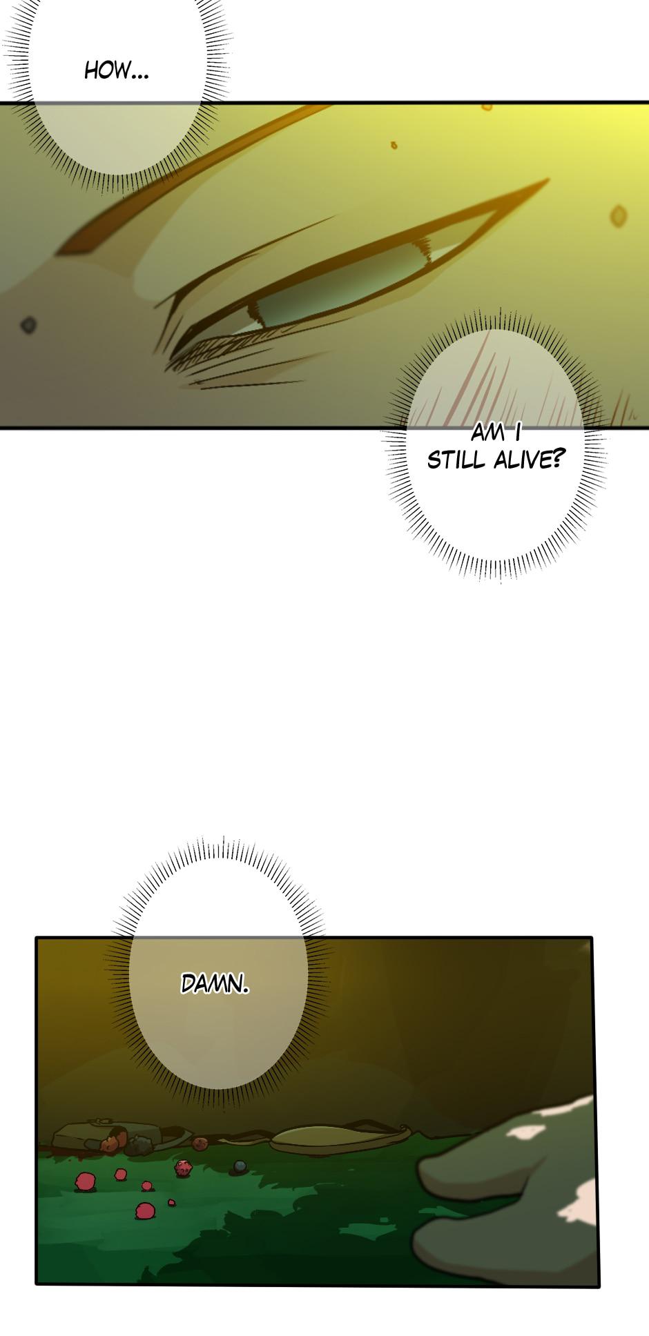 The Beginning After The End Chap 11 - Next Chap 12