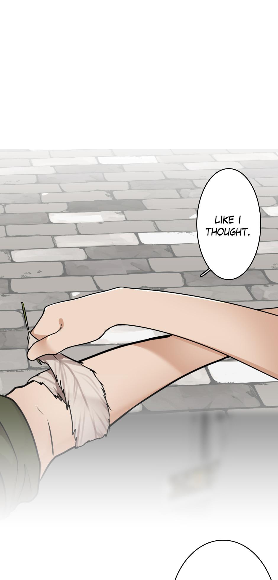 The Beginning After The End Chap 28 - Next Chap 29