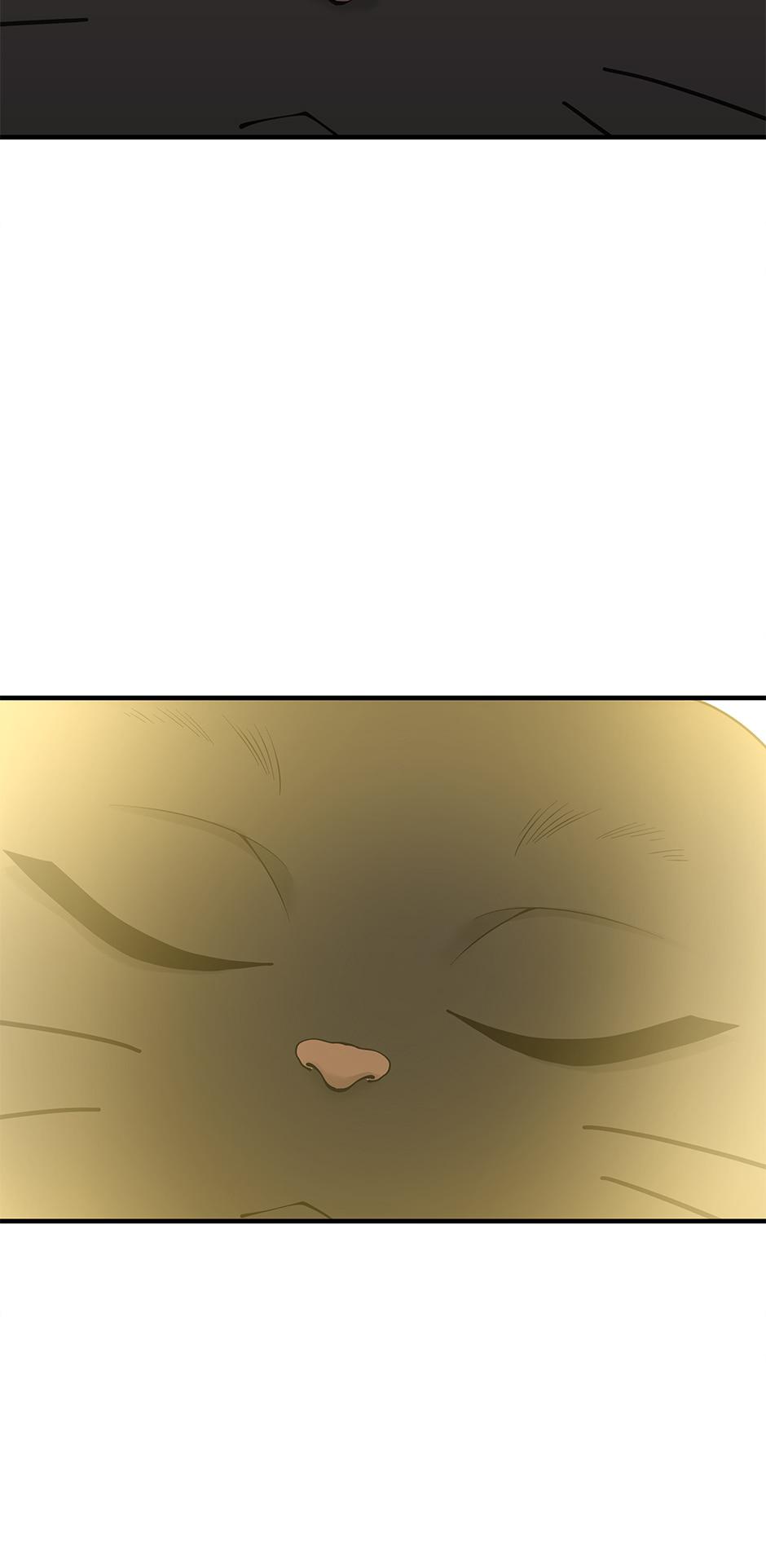 The Beginning After The End Chap 125 - Next Chap 126