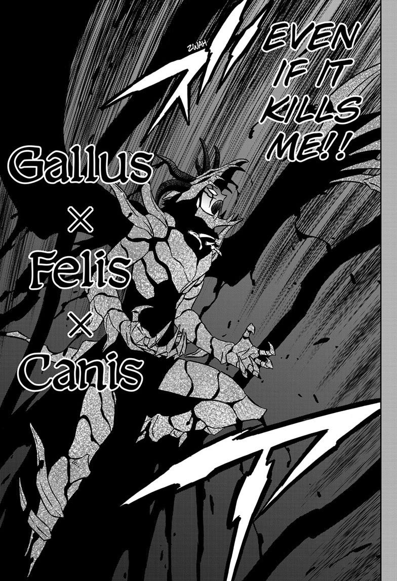 Black Clover Chap 375 - Next Chap 376