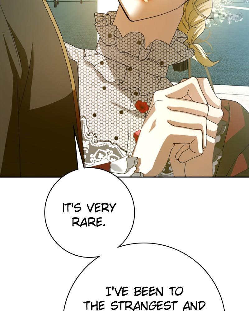 Your Throne Chap 151 - Next Chap 152