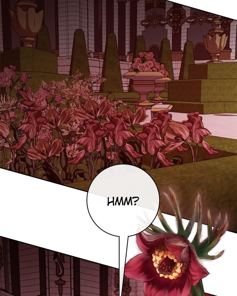 Your Throne Chap 181 - Next Chap 182
