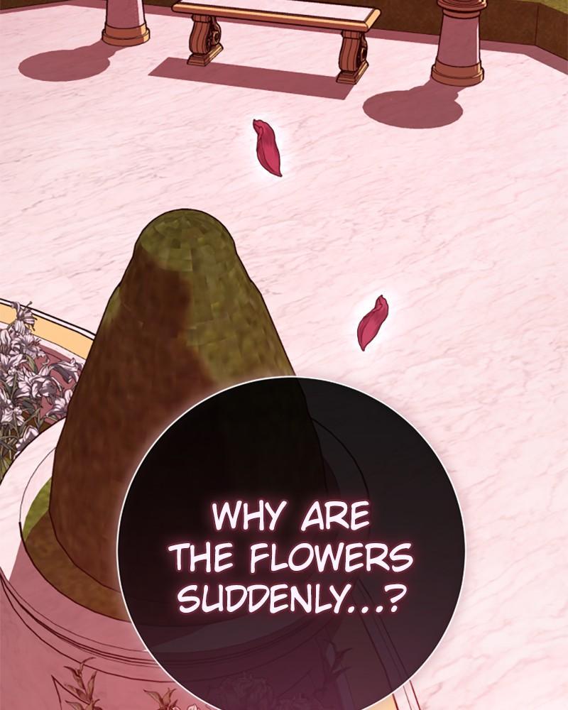 Your Throne Chap 181 - Next Chap 182