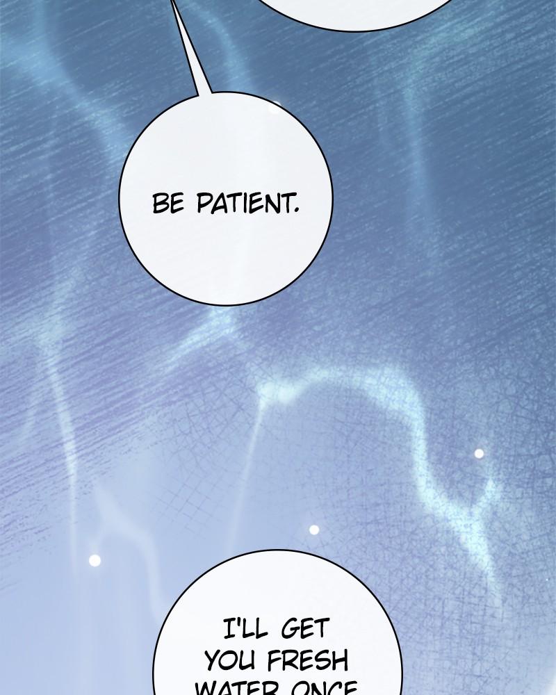 Your Throne Chap 195 - Next Chap 196