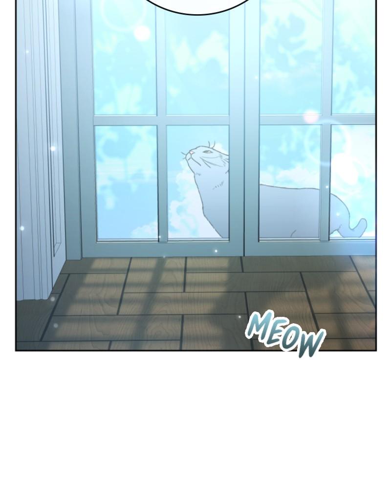 Your Throne Chap 207 - Next Chap 208