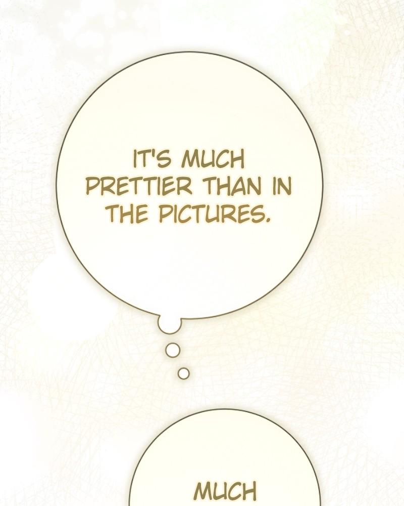 Your Throne Chap 205 - Next Chap 206