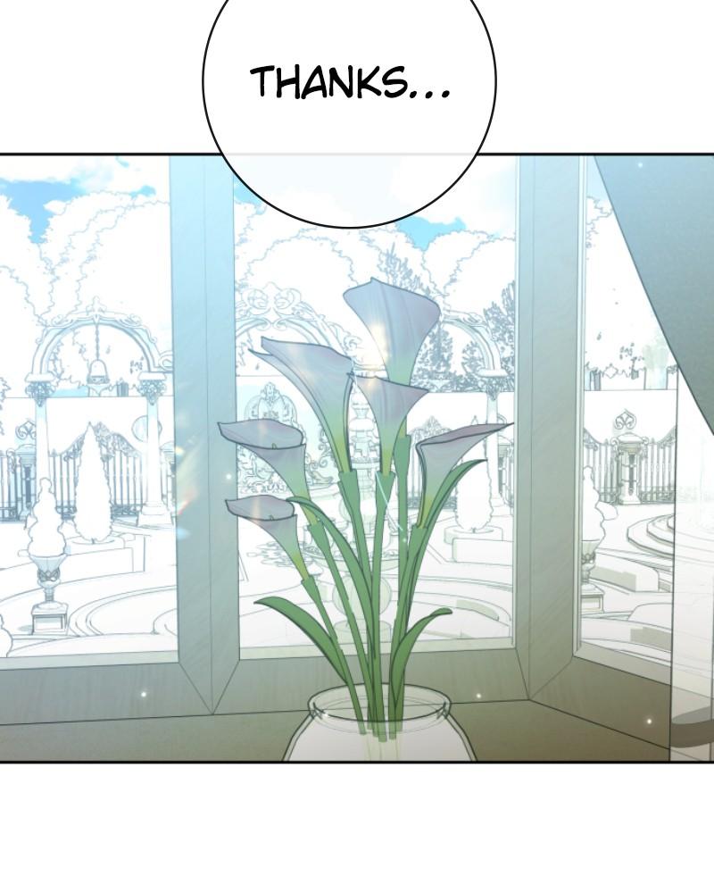 Your Throne Chap 206 - Next Chap 207