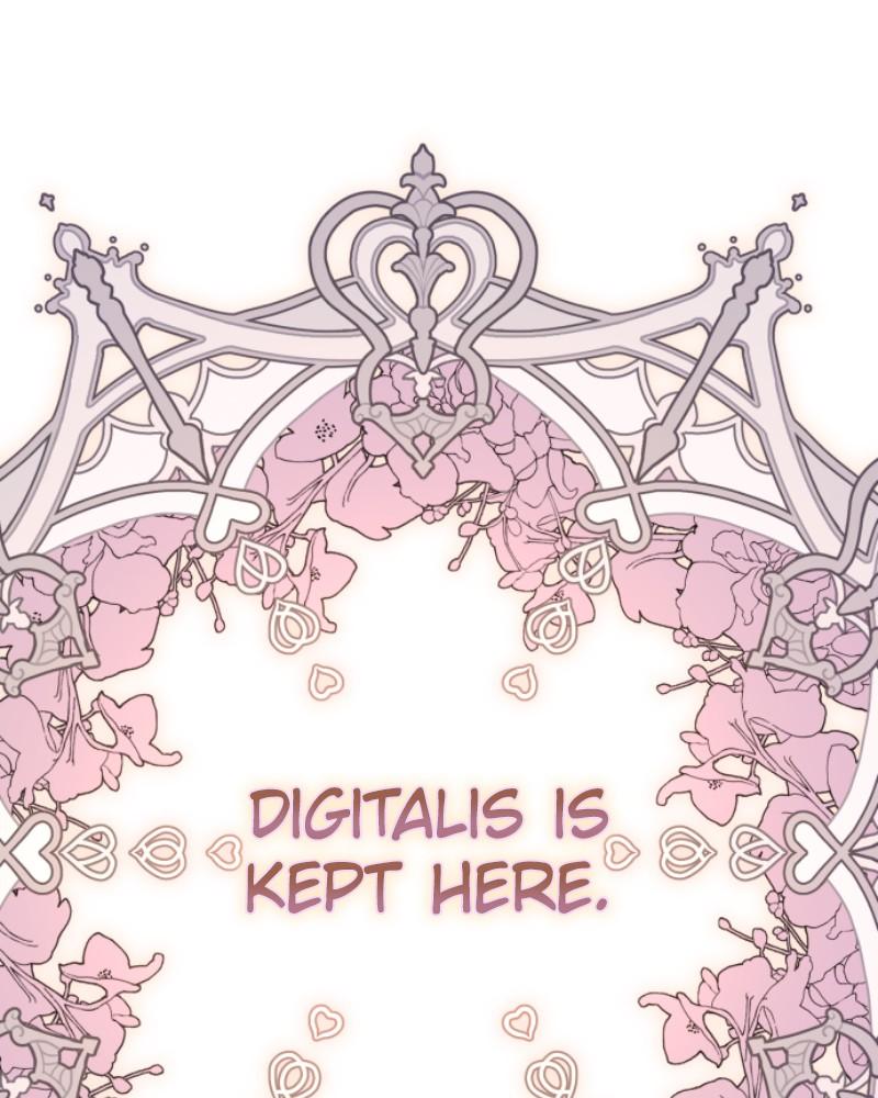 Your Throne Chap 239 - Next Chap 240