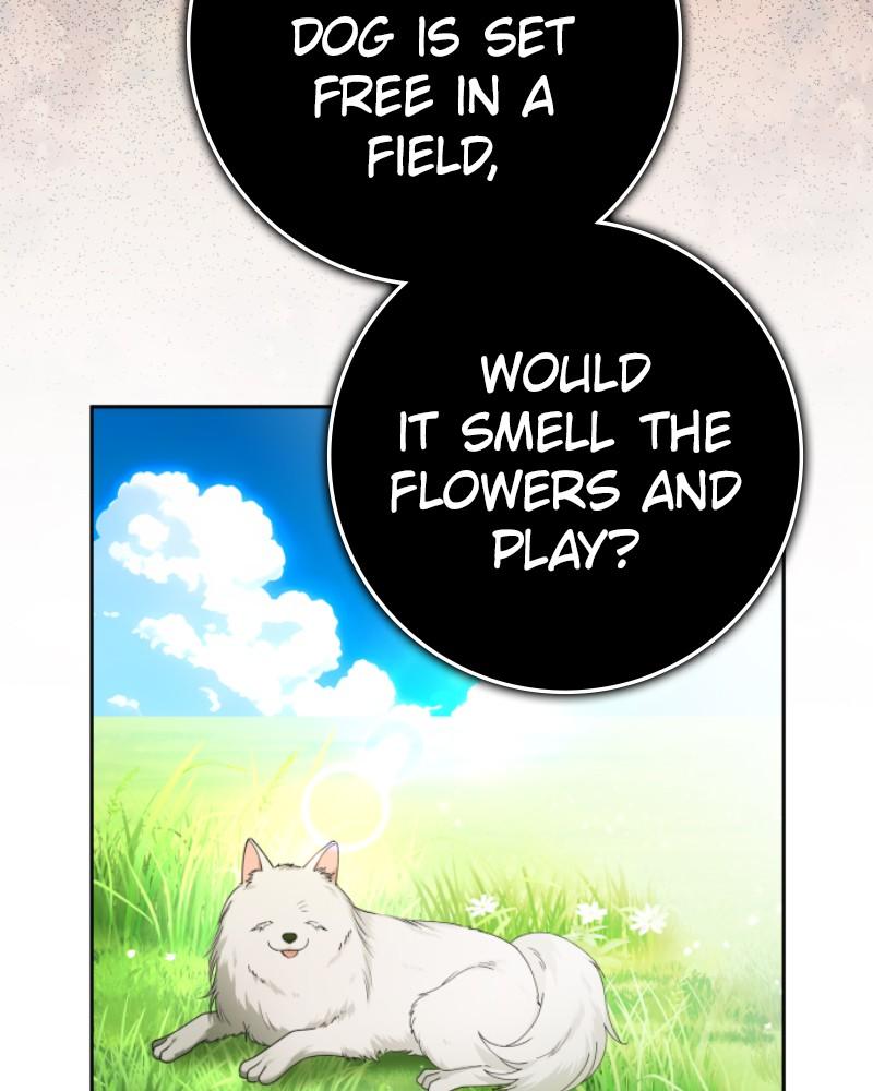 Your Throne Chap 232 - Next Chap 233