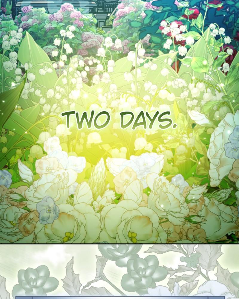 Your Throne Chap 241 - Next Chap 242