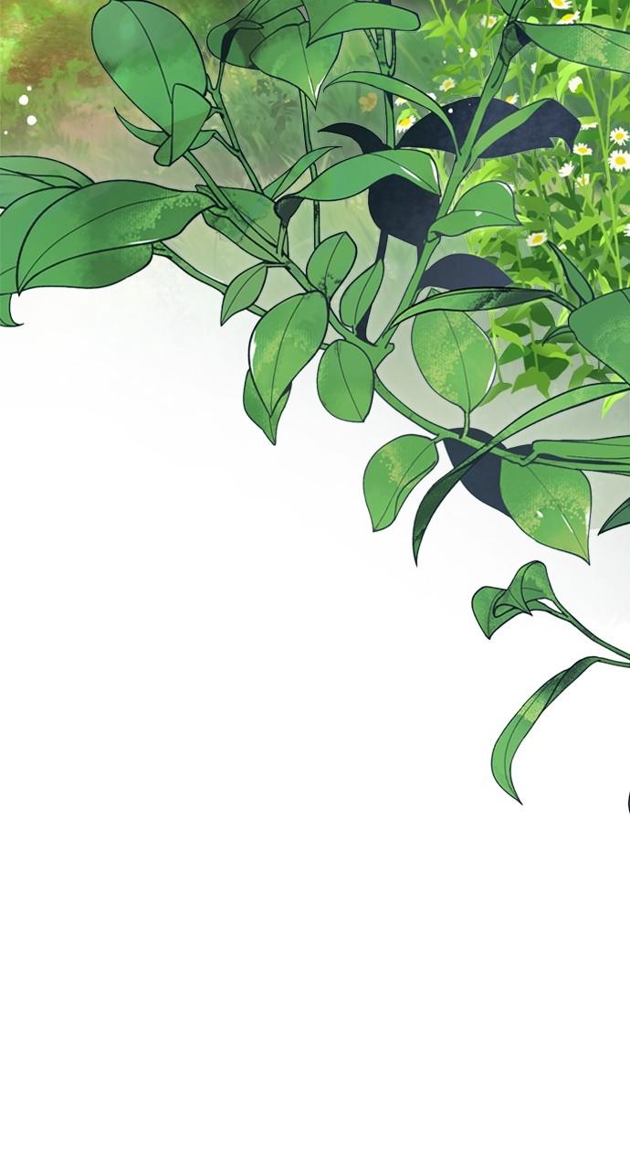 From a Knight to a Lady Chap 135 - Next Chap 136