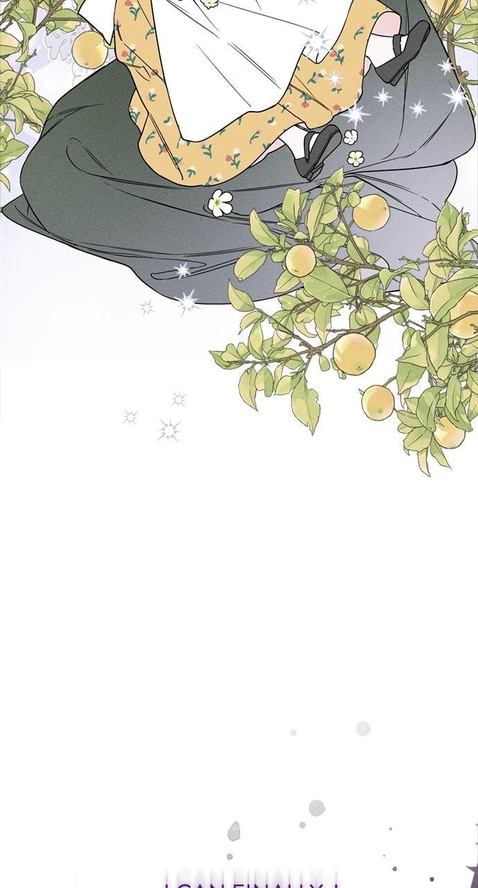 From a Knight to a Lady Chap 141 - Next Chap 142