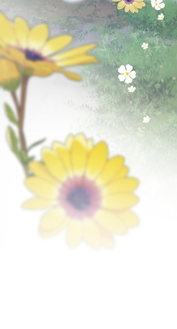 From a Knight to a Lady Chap 161 - Next Chap 162