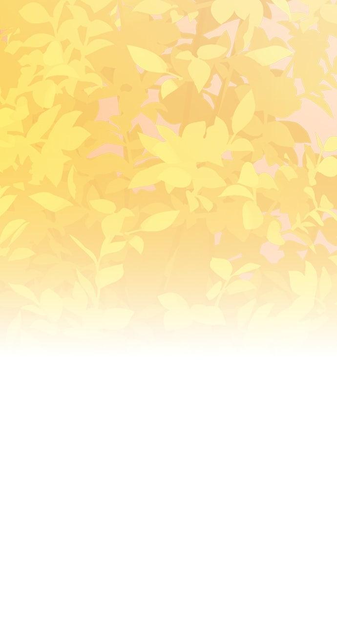 From a Knight to a Lady Chap 177 - Next Chap 178