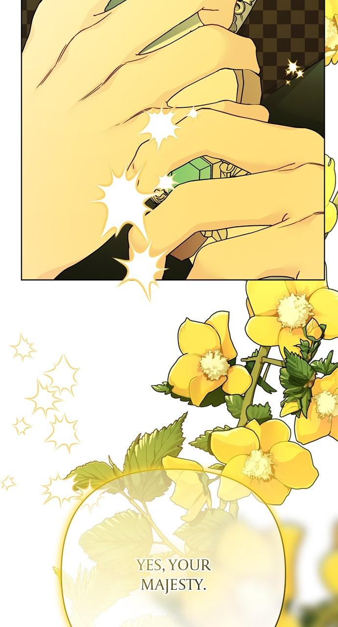 From a Knight to a Lady Chap 177 - Next Chap 178