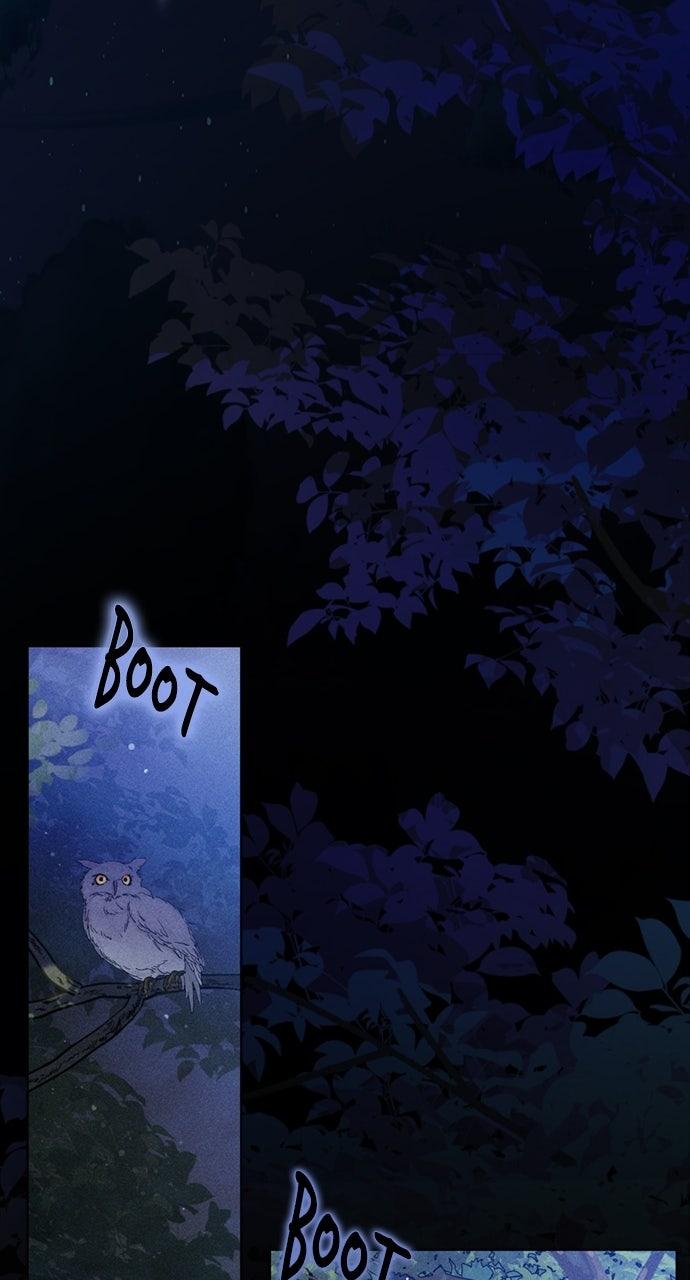 From a Knight to a Lady Chap 178.5 - Next Chap 179.5