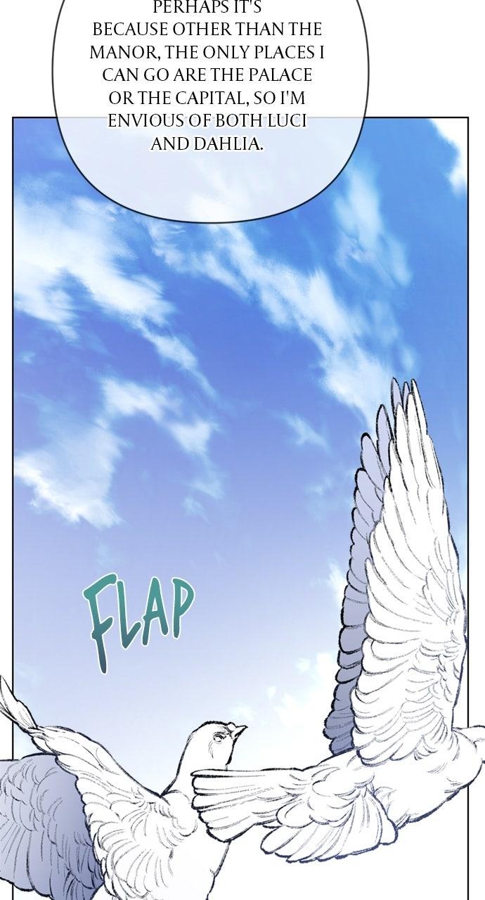 From a Knight to a Lady Chap 178.6 - Next Chap 179.6