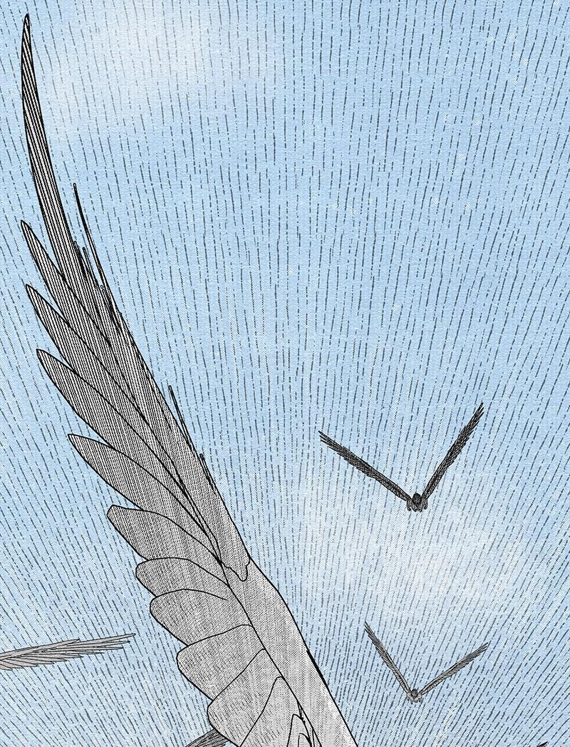 Eyes (JUNG Summer) Chap 1 - Next Chap 2