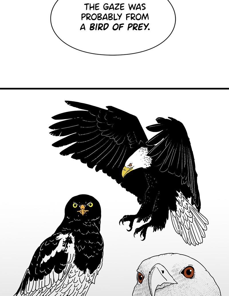 Eyes (JUNG Summer) Chap 2 - Next Chap 3