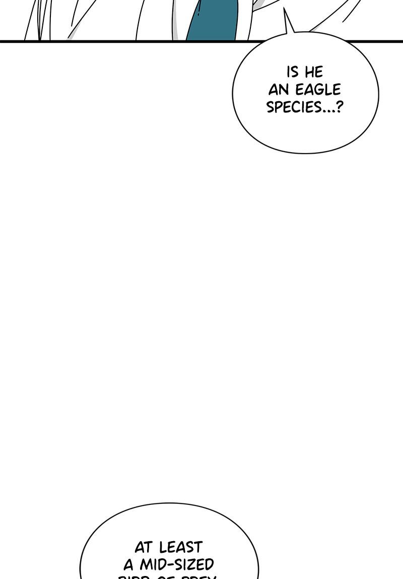 Eyes (JUNG Summer) Chap 18 - Next Chap 19