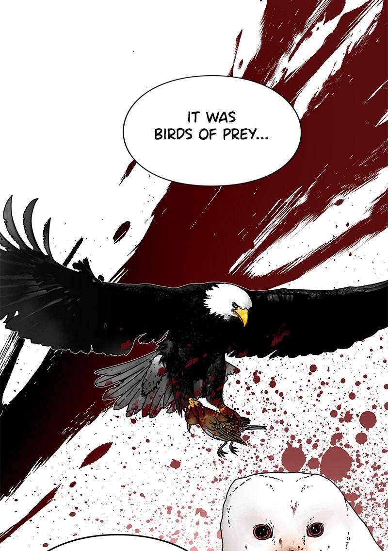 Eyes (JUNG Summer) Chap 27 - Next Chap 28