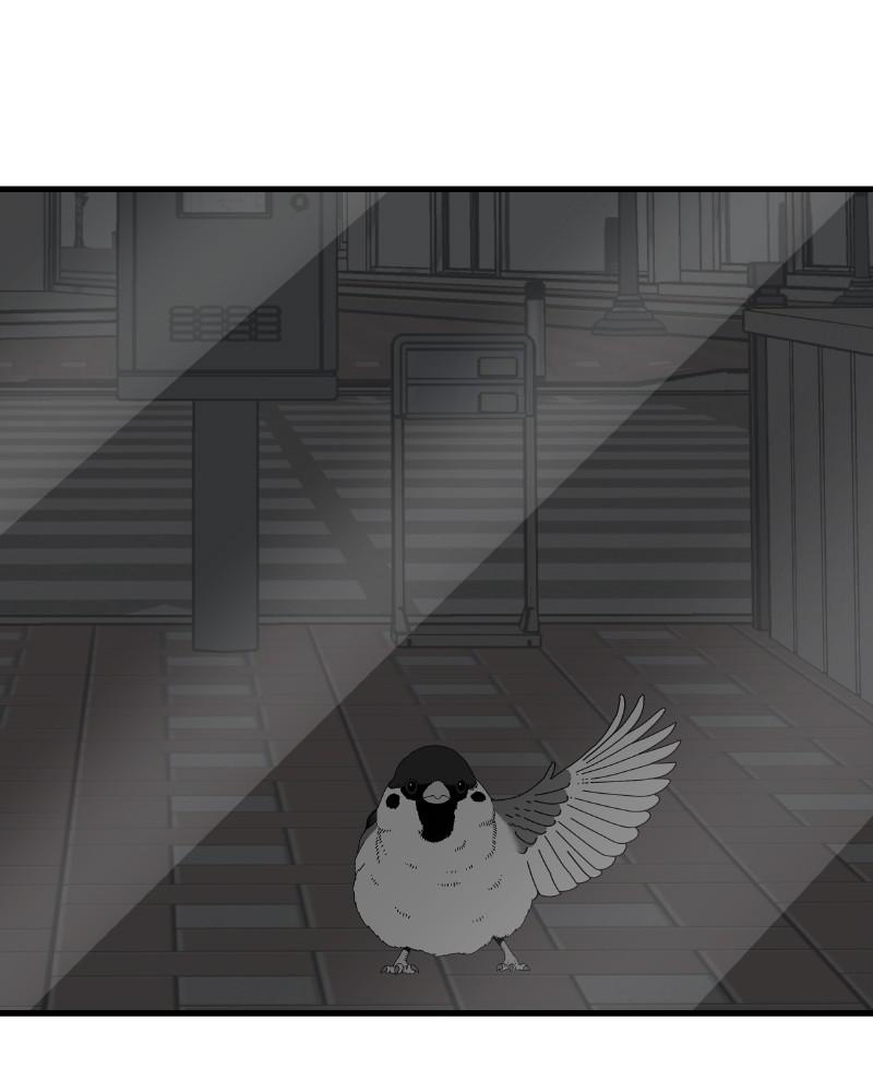 Eyes (JUNG Summer) Chap 46 - Next Chap 47