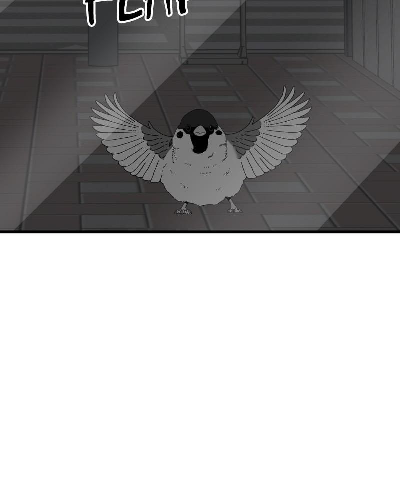 Eyes (JUNG Summer) Chap 46 - Next Chap 47