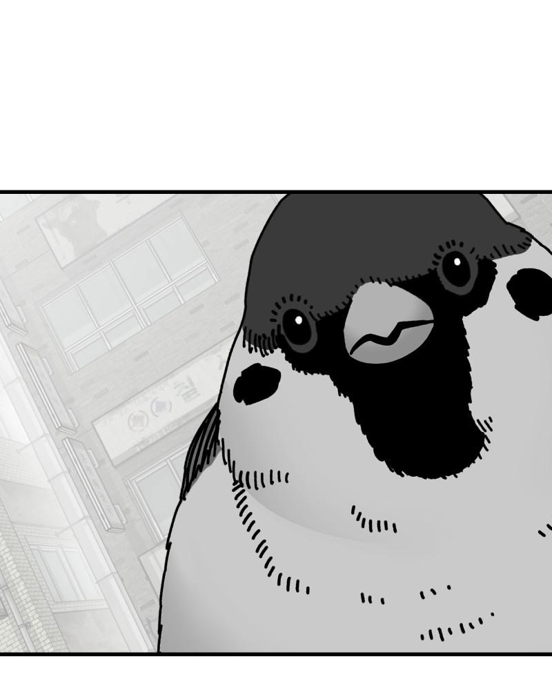 Eyes (JUNG Summer) Chap 55 - Next Chap 56