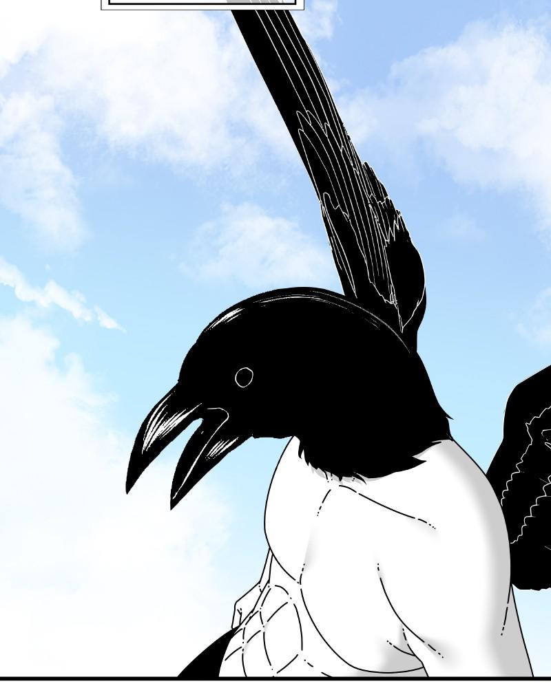 Eyes (JUNG Summer) Chap 52 - Next Chap 53