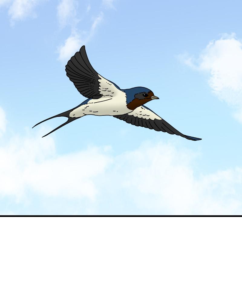 Eyes (JUNG Summer) Chap 53 - Next Chap 54