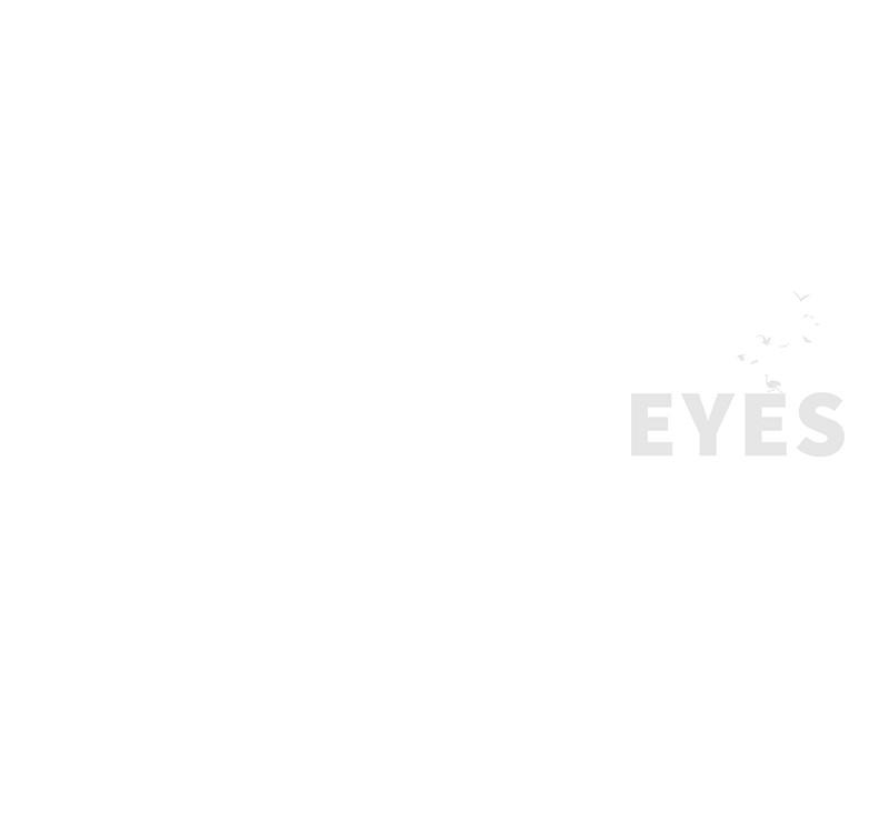 Eyes (JUNG Summer) Chap 66 - Next Chap 67