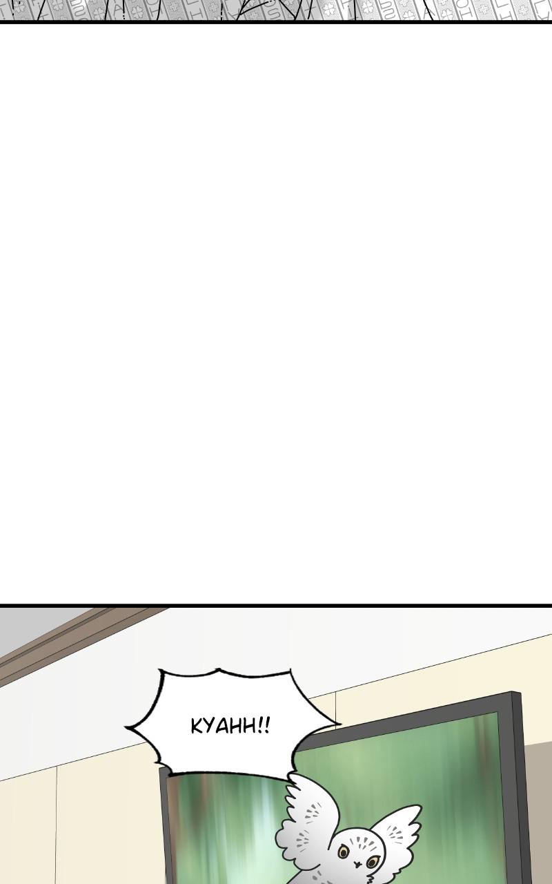 Eyes (JUNG Summer) Chap 78 - Next Chap 79