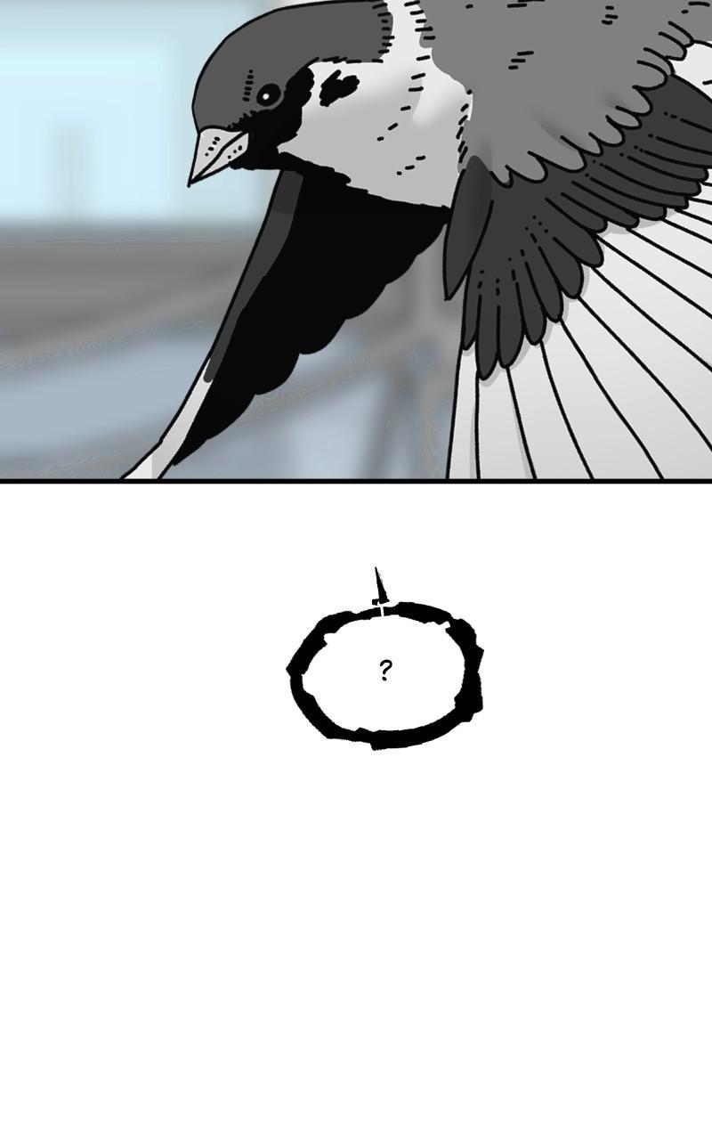 Eyes (JUNG Summer) Chap 89 - Next Chap 90