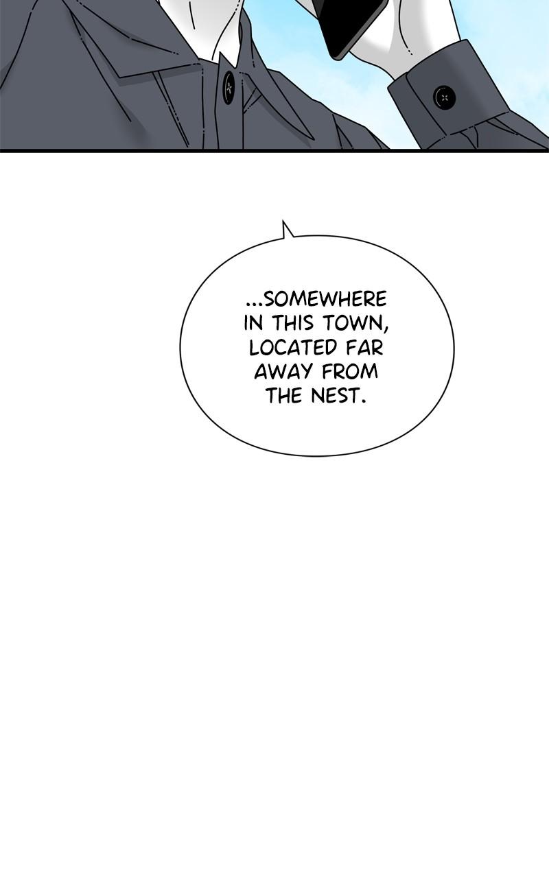 Eyes (JUNG Summer) Chap 95 - Next Chap 96