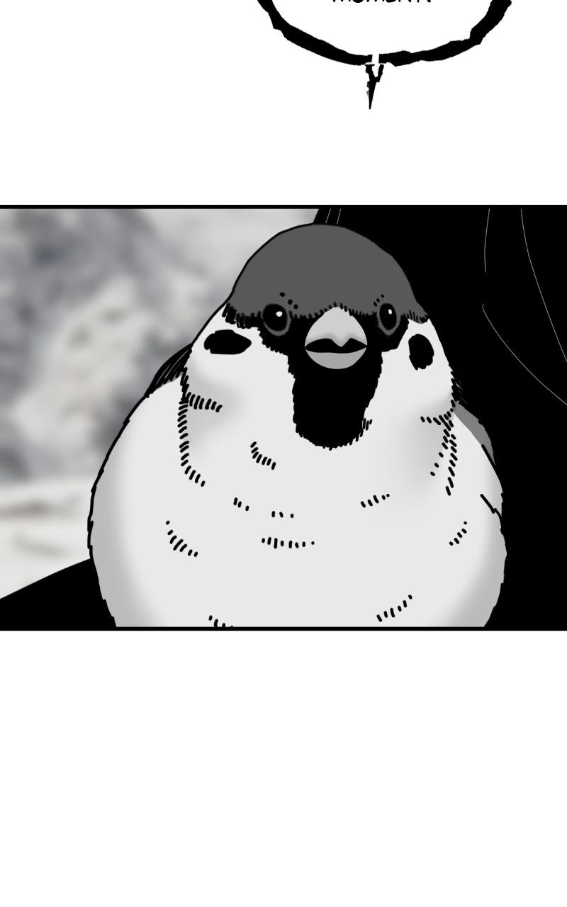 Eyes (JUNG Summer) Chap 91 - Next Chap 92