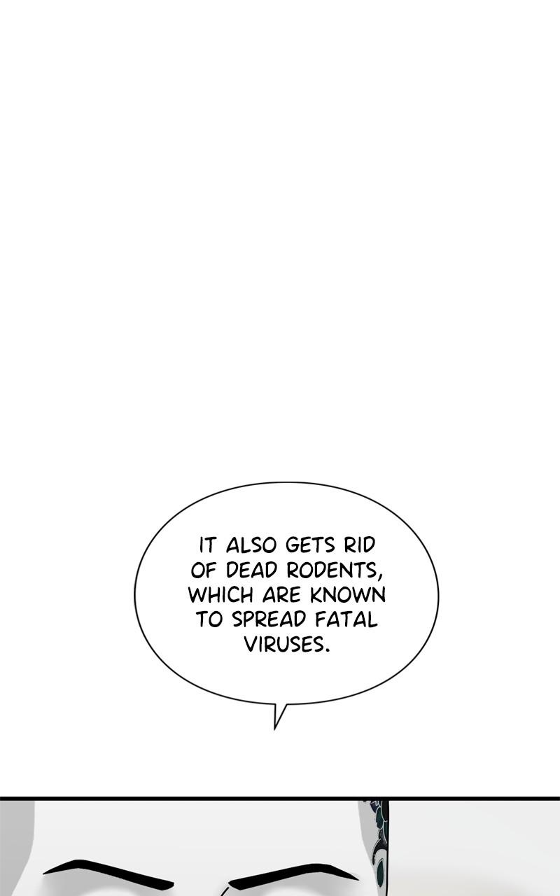 Eyes (JUNG Summer) Chap 108 - Next Chap 109