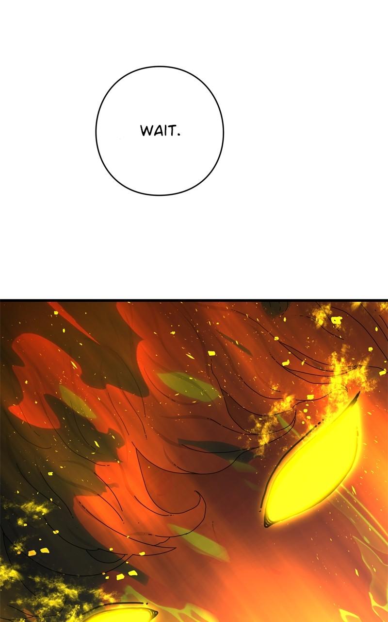Eyes (JUNG Summer) Chap 117 - Next Chap 118