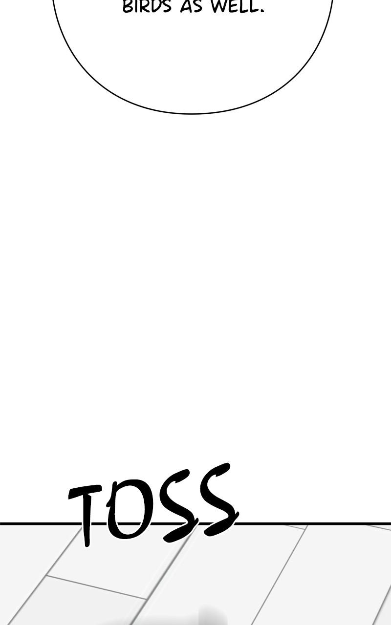 Eyes (JUNG Summer) Chap 111 - Next Chap 112