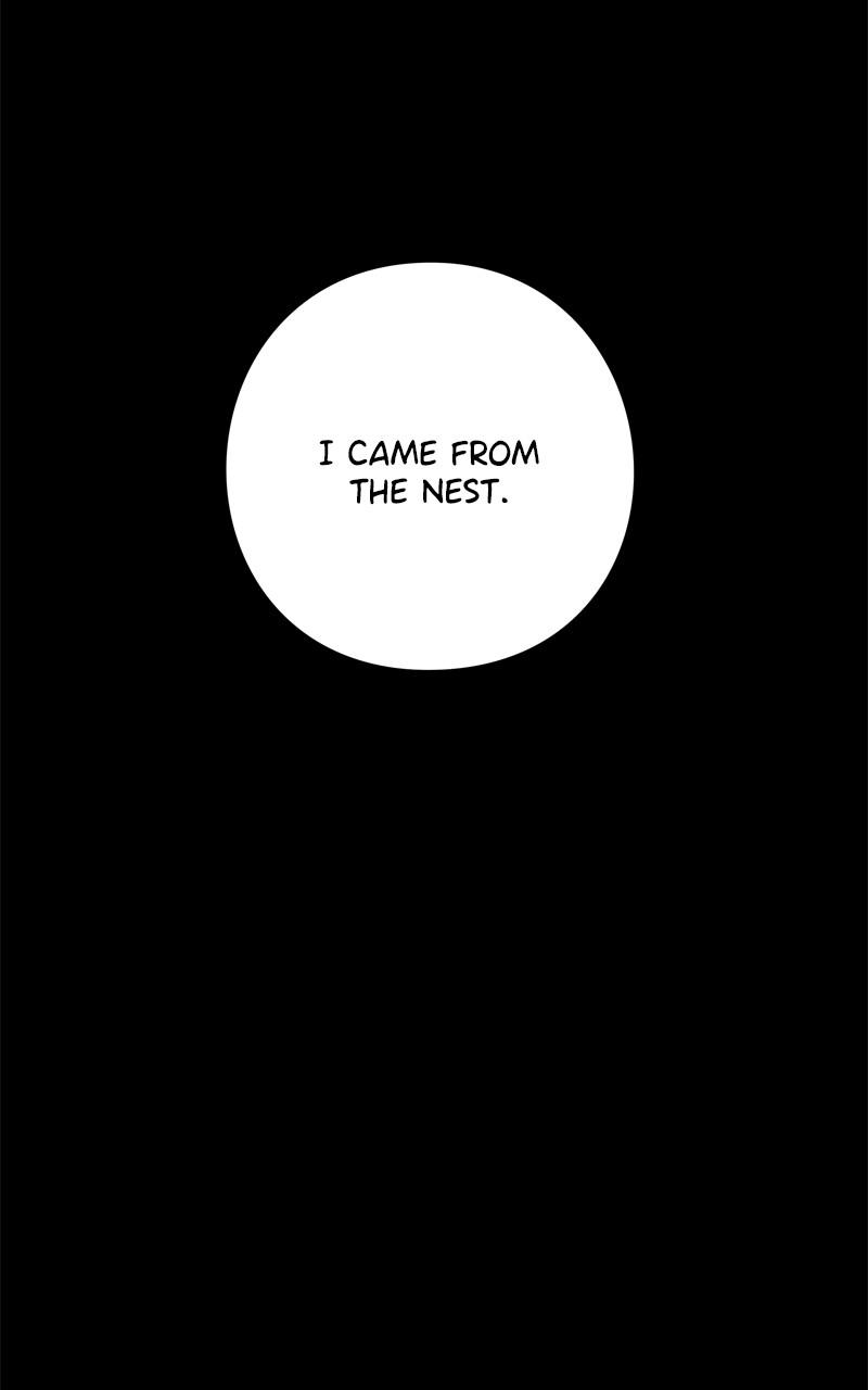 Eyes (JUNG Summer) Chap 127 - Next Chap 128