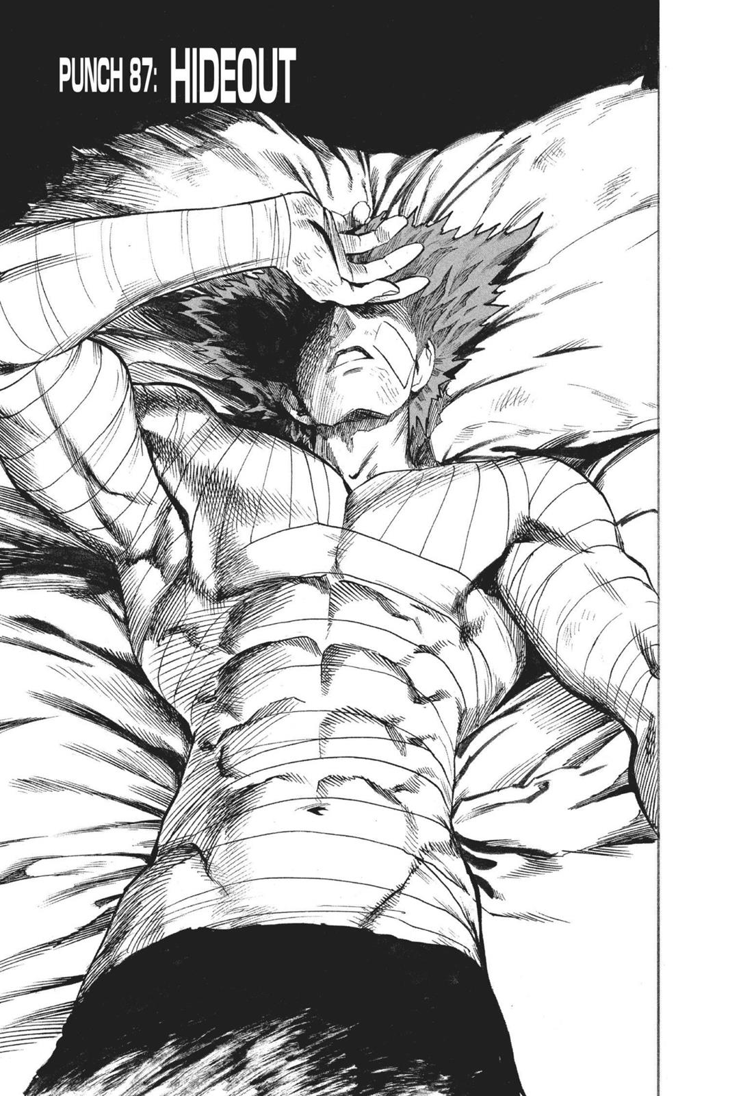 One-Punch Man Official Chap 87 - Next Chap 88