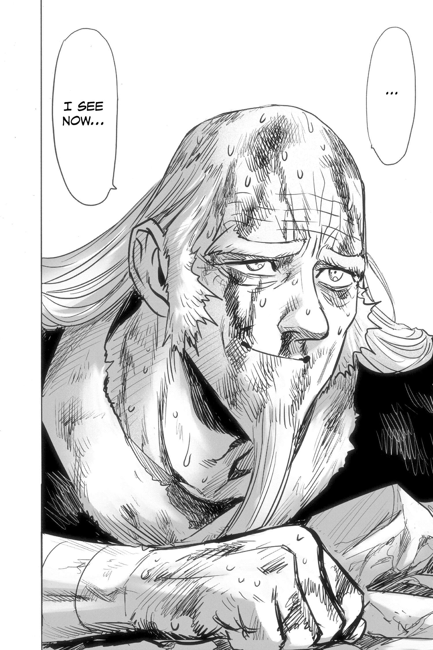 One-Punch Man Official Chap 155 - Next Chap 156