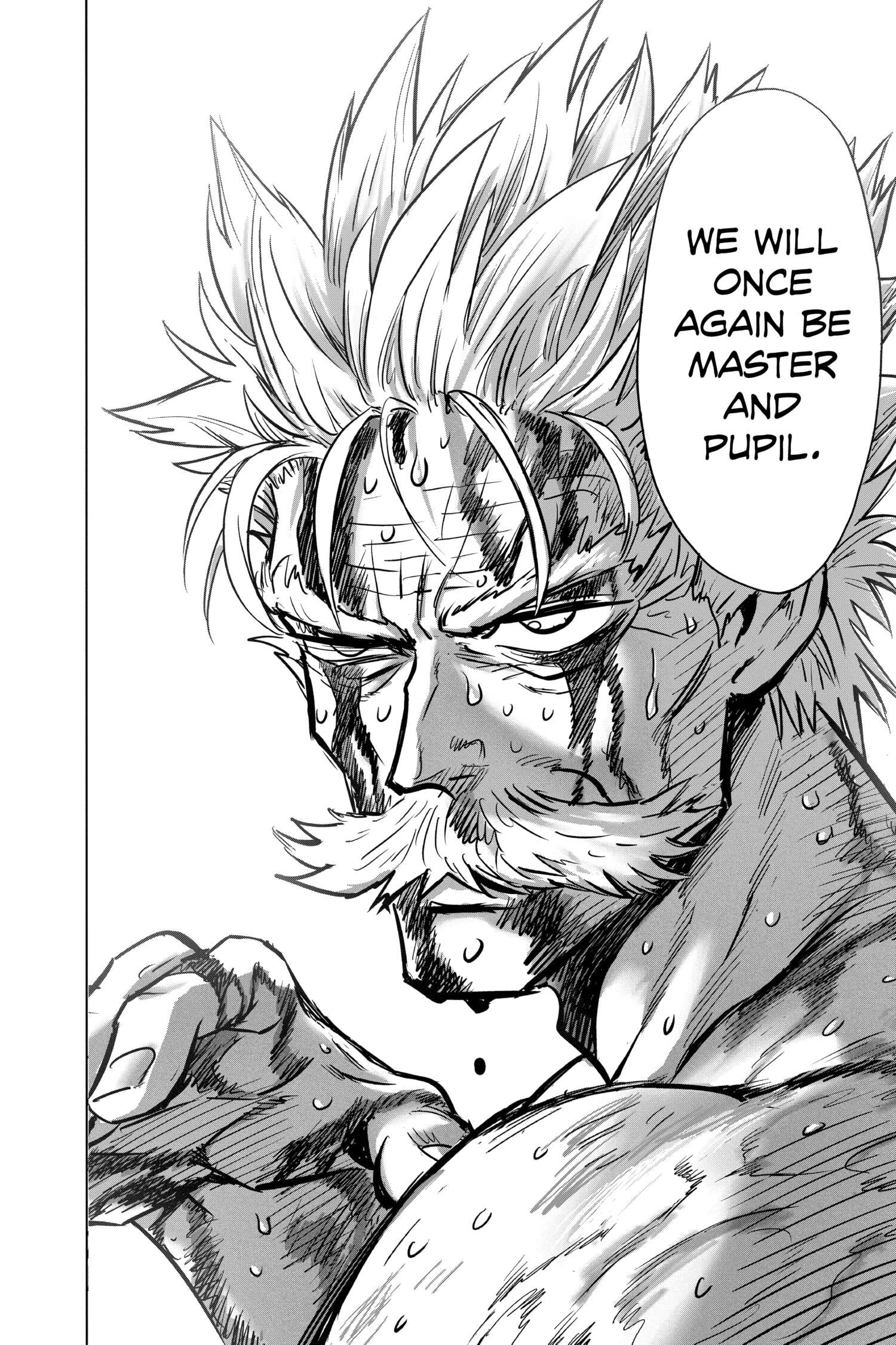 One-Punch Man Official Chap 155 - Next Chap 156