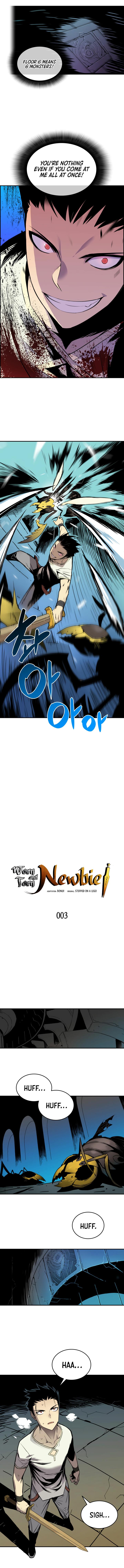 Worn and Torn Newbie Chap 3 - Next Chap 4