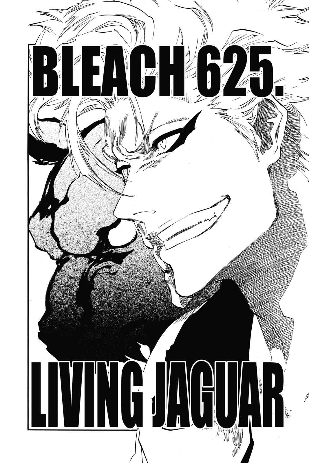 Bleach Chap 625 - Next Chap 626